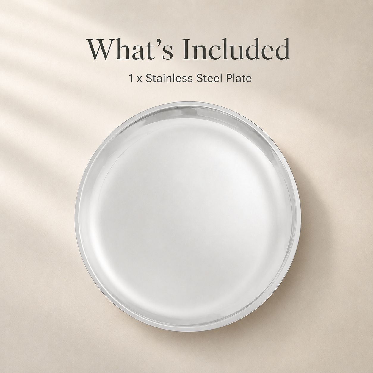 Kraft Stainless Steel China Plate  Mirror Finish Steel Dinner Plate for Meals, Snacks & Daily Serving