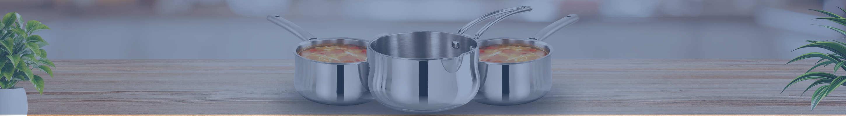 collection-banner-image